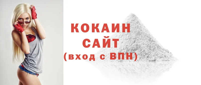 COCAIN FishScale  blacksprut вход  Новомичуринск 