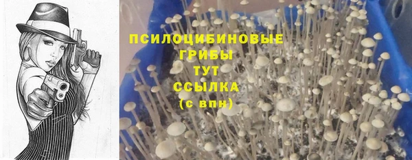 экстази Михайловск