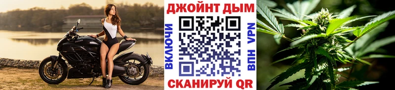 Шишки марихуана сатива  Новомичуринск 